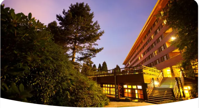 Disney Sequoia Lodge