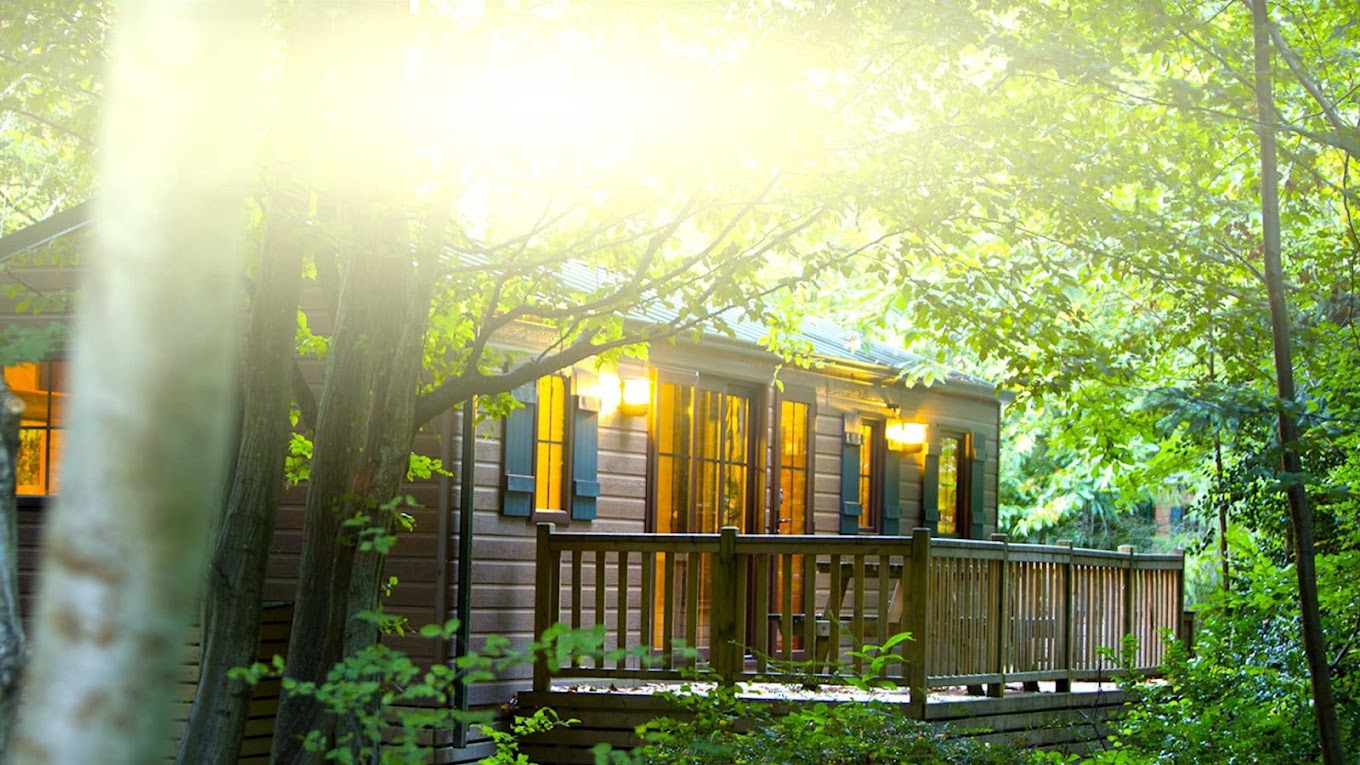 Disney Davy Crockett Ranch — zdjęcie 3