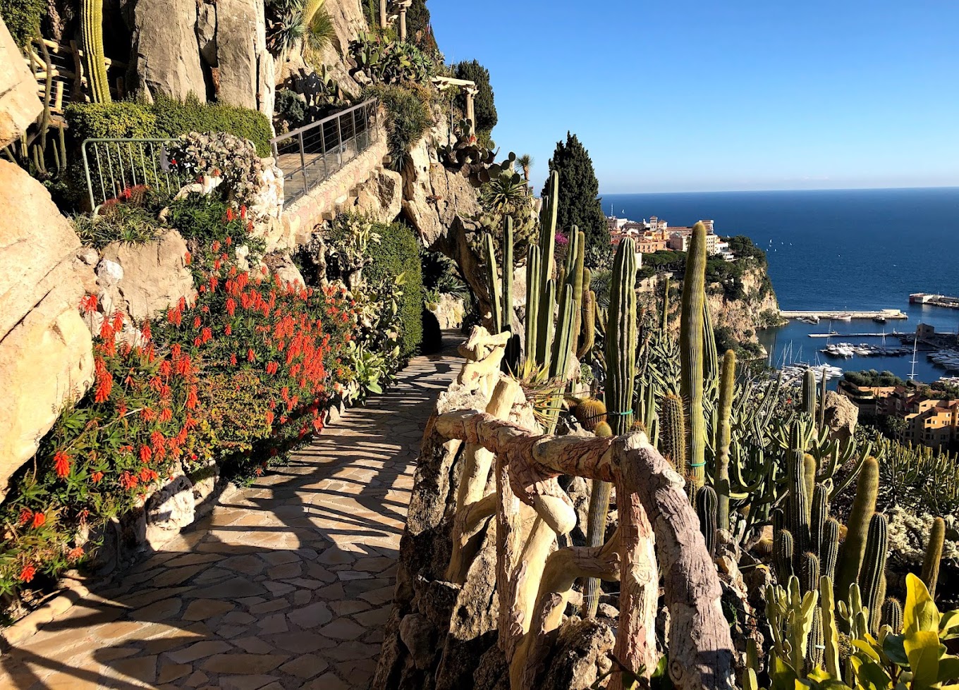 Ogród Egzotyczny w Monako – niezwykłe miejsce z widokiem, którego nie da się zapomnieć