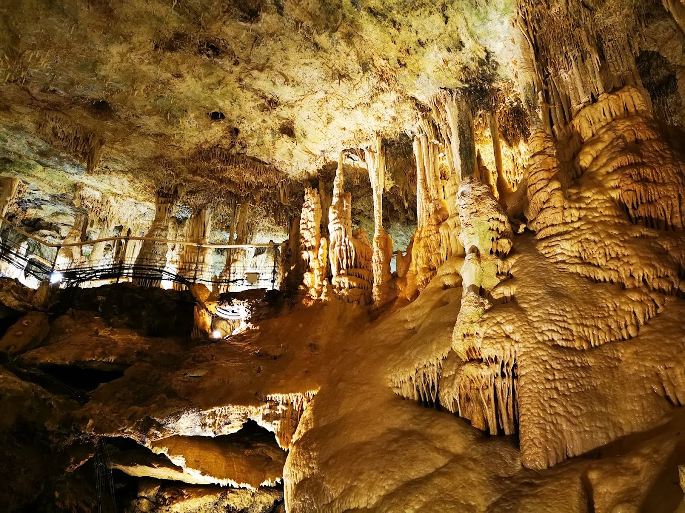 Egzotyczne rośliny w Monako