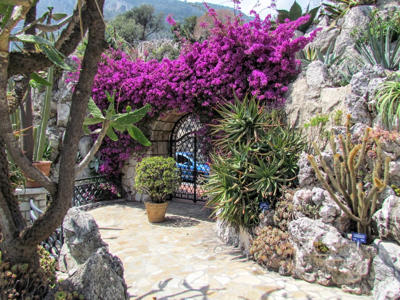 Widoki z Ogrodu Egzotycznego w Monako