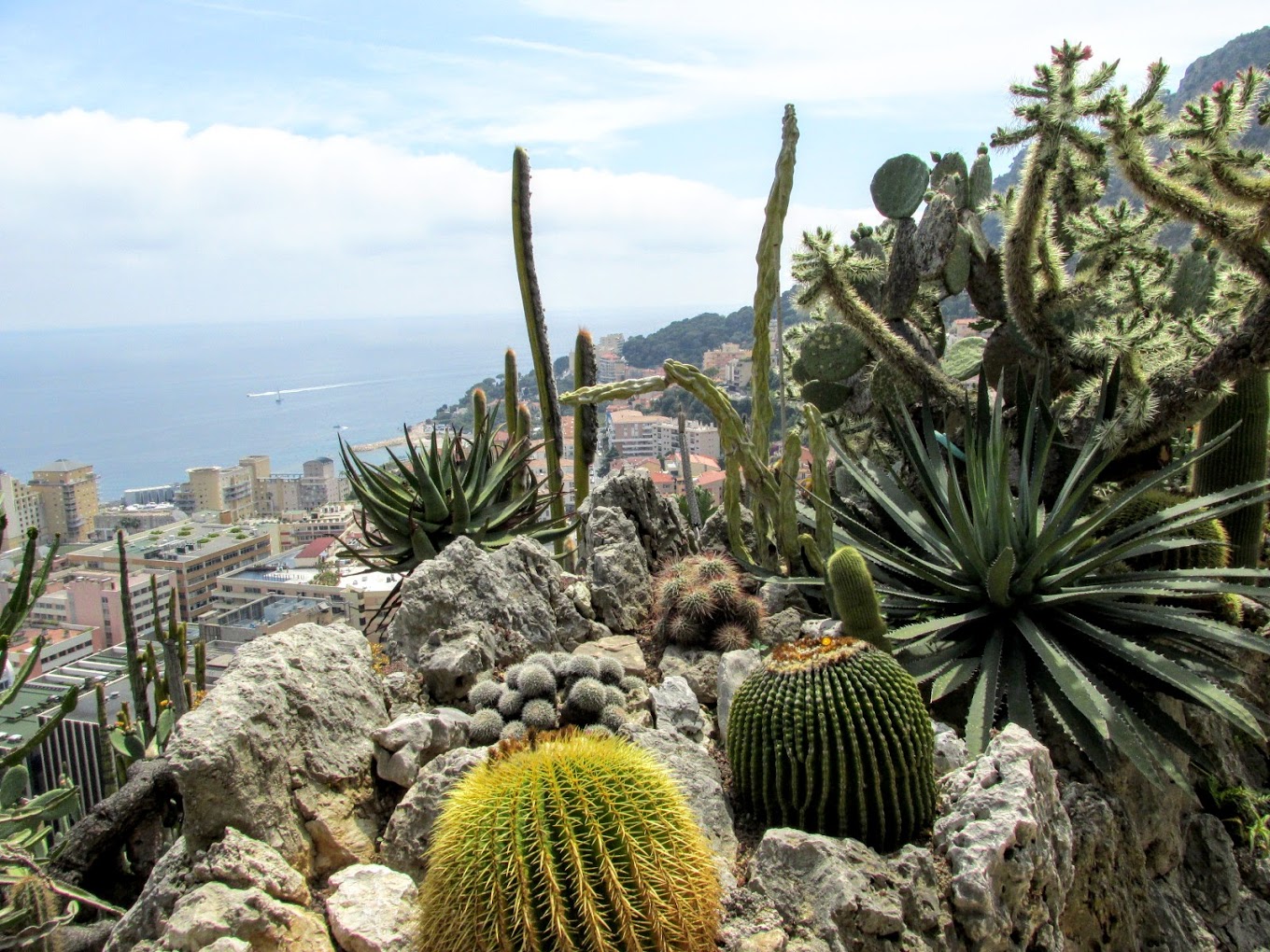 Roślinność i krajobrazy Monako